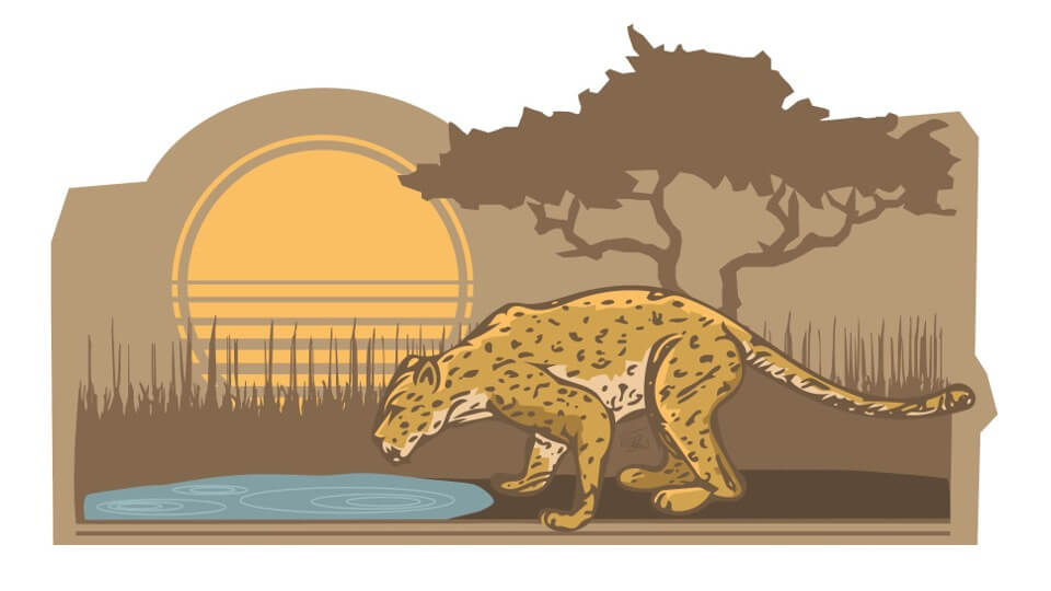 Kann ein Leopard seine Flecken ändern?